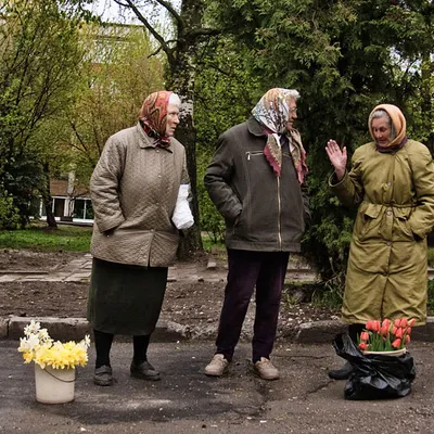 Бабушки и Дедушки
