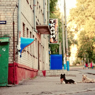 улица Емлютина