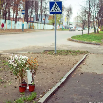 Стоят