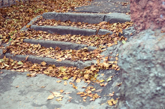 Steps Every Day