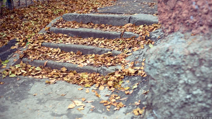 Steps Every Day, фото 1