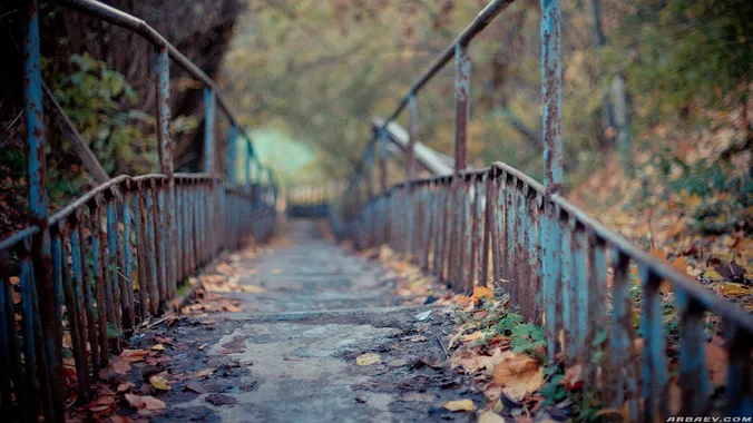 Steps Every Day, фото 2