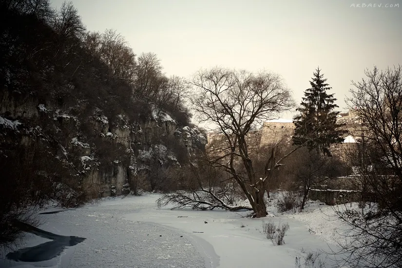 Смотрич