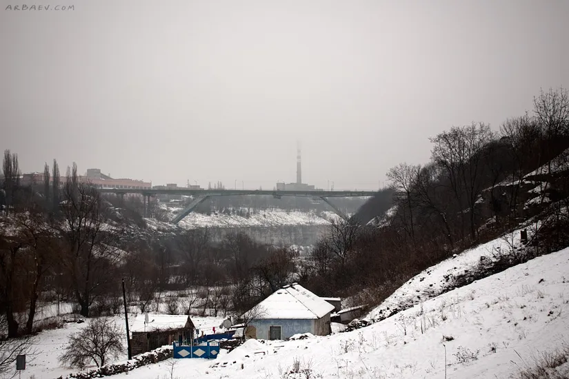 Бегущая лань