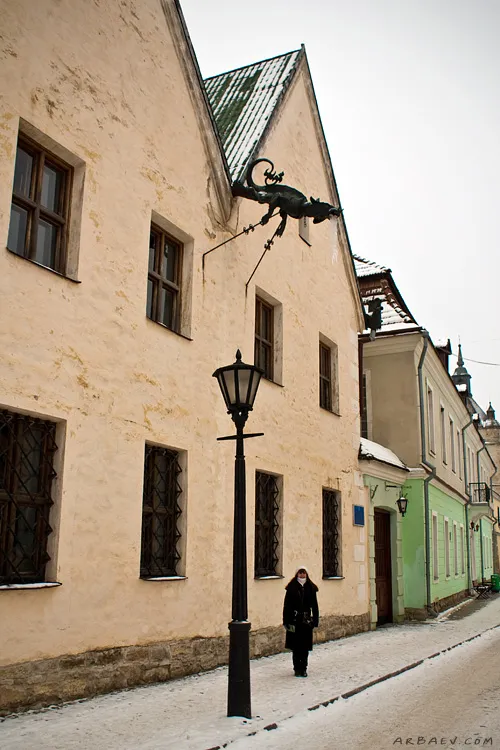 Дракон