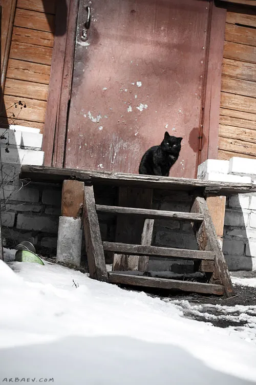 Котекк