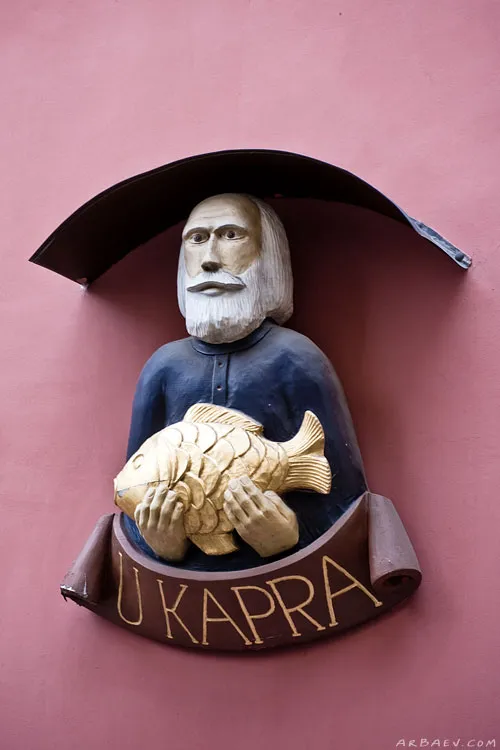 У карпа