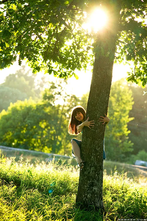 Forest Fairy