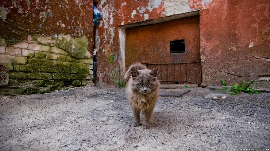 Котéг